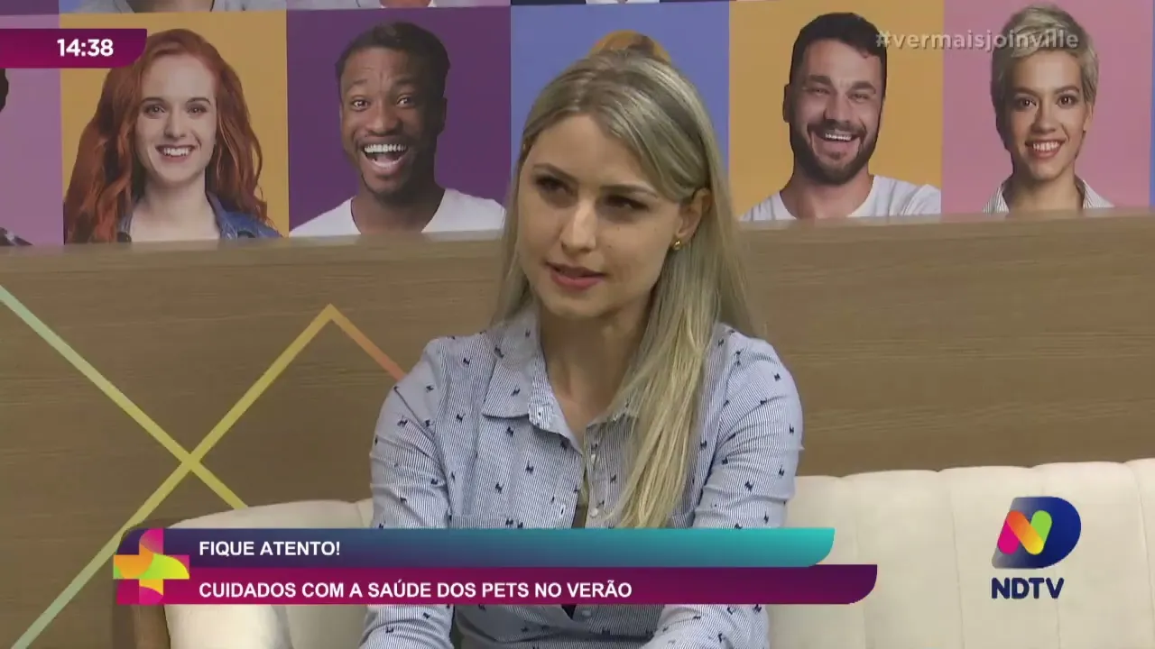 Fique Atento! cuidados com a saúde dos Pets no verão