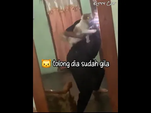 Rasa Lelah Abang Ini Lansung Hilang Ketika Bertemu Kucingnya Yang Menggemaskan 🐱 #kucing #kucingoyen