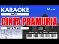 Download Lagu Karaoke - Cinta Pramuria // Loela Drakel