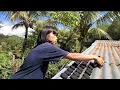 Download Lagu Making Rice Husk Charcoal Briquettes at Home || Grilling Fish