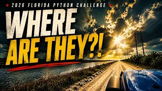 A REALISTIC LOOK at Daytime PYTHON Hunting Florida Python Challenge Day 1