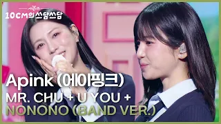 apink mr chu u you nonono band ver 10cm kbs 260109 