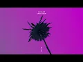 Avoure - Spectrum