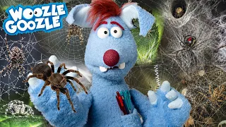 Hat Woozle Angst vor Spinnen? l WOOZLE GOOZLE