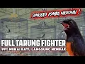 Download Lagu SIMULASI MURAI BATU BIKIN EMOSI 🔥 TERBARU 2023 🔥