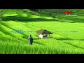 Download Lagu #Popsunda #musikindonesia #sundaan Yayan Jatnika ~ Lamunan mp3