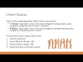 Linear Queue - Queue in Data Structure