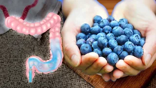 خواص ۵۰ گرم بلوبری در روز به مدت ۸ هفته ۱۰ بیماری رو درمان میکند  دندنها