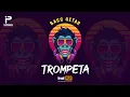 Download Lagu BASS GETAR - TROMPETA REMIX 2024 (Irsal Palevi)