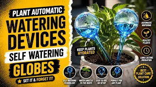 Plant Automatic Watering Devices Self Watering Globes