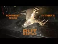 Northeast Rut Report Deer Daylight Activity Is Increasing