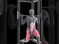 Download Lagu How Does Muscle Grow (Animation)