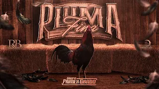 Grupo Primer Grado - Pluma Fina (Video Oficial)