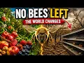 What If All Bees Disappeared Overnight The Hidden Chain Reaction