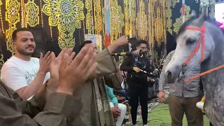 شوف الريس محمد العشه وهو بيرقص الخيل علي المزمار        دندنها