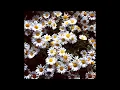 Download Lagu Classmate Cover【歌ってみた】