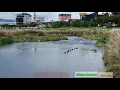 Download Lagu Lagu Sungai Suci  (Daerah Bengkulu)