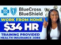MAKE 1 BLUE CROSS CLUE SHIELD WORK FROM HOME ONLINE JOBS