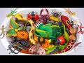 Download Lagu ZURU ROBO ALIVE COLLECTION | UNBOXING Robo Chameleon, Robo Snake , Robo Lizard | ASMR