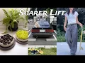 Download Lagu 【 vlog 】ソアラとあたいの休日(スケボー、スイーツ作り)