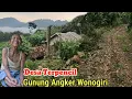 Download Lagu Desa Terpencil di Tempat Angker Gunung Tunggangan Wonogiri