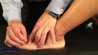 Liuwan T 66 08 Shuiqu T 66 09 FRANÇAIS Points D Acupuncture Tung Par Le Dr Chuan Min Wang 