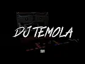 Lagu DJ temola terbaru versi brewog audio mantap