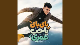 باى باى ياحب عمرى دندنها