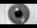 Download Lagu The Plot In You - Divide (Official Visualizer)