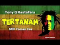 Tony Q Rastafara - Tertanam by Still Yoman