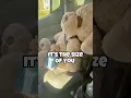 GIANT Teddy Bear Surprise