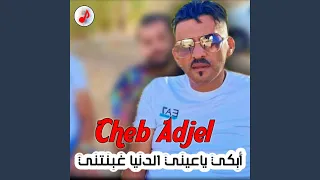 أبكي ياعيني الدنيا غبنتني 