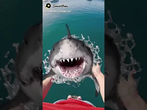 kalian kaget ga kalau ga komen