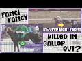 Fanci Fancy KILLED AT SUNLAND 4 10 26 sunlandparkracetrackcasino9586