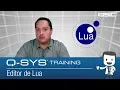 Q-SYS Control 101 SP Editor de Lua
