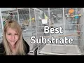What to Line a Bird Cage With