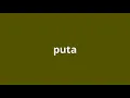 what is the meaning of puta