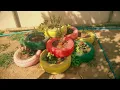 Ah Nee Mah - Sun Circle (Native Spirit ) Cover #Ayahuasca