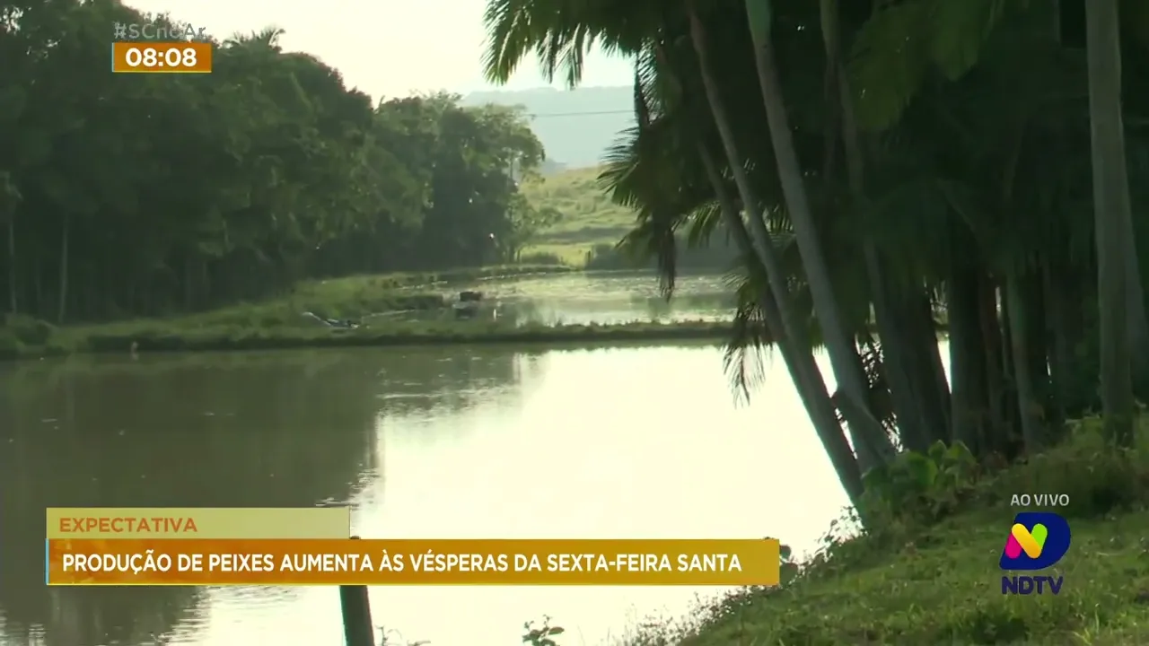 Produção de tilápia é destaque na região do Vale do Itajaí