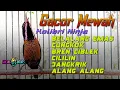 Download Lagu KONIN GACOR FUL NEMBAK MEWAH COCOK UNTUK MASTERAN KOLIBRI NINJA BAHAN