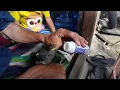 Download Lagu anakan burung decu lokal Papua #burungdecu