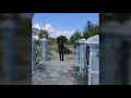 Lagu Balasan lagu geby _ tinggal kenangan