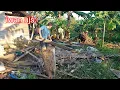 Download Lagu Tidying up the wood and rubbish from the former hut.!!