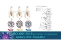 Virology 2015 Lecture Evolution