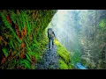 Eagle Creek Trail - Oregon USA Stunning Footage