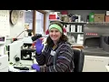 LabWeek2024