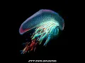 Off The Ground - Sub Focus