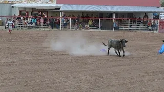 Midget Power Rodeo Yes it s a thing Interesting evening