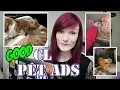 Only Talking About Good Rehoming Ads Craigslist Pet Ads Munchie s Place