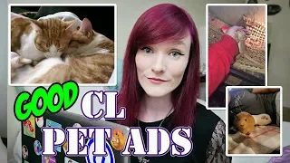 Only Talking About Good Rehoming Ads Craigslist Pet Ads Munchie s Place